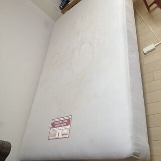 本日まで！