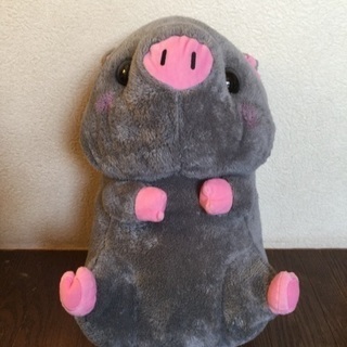 ぬいぐるみ クマもんとブタ‼️