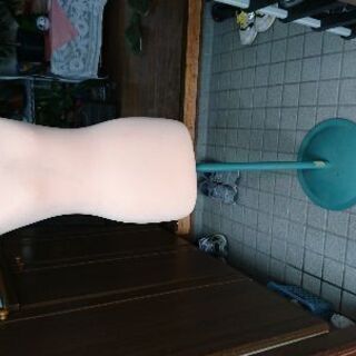 トルソーマネキン