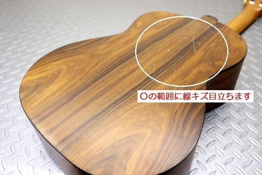 Chai Yukinobu 茶位幸信 クラシックギター Chai Yukinobu No.6 fece in Tokyo ハードケース