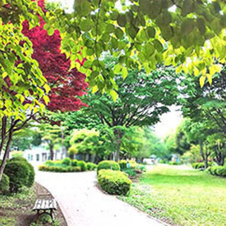 ご希望日に草むしり　除草　いたします　＜除草・相模大野＞
