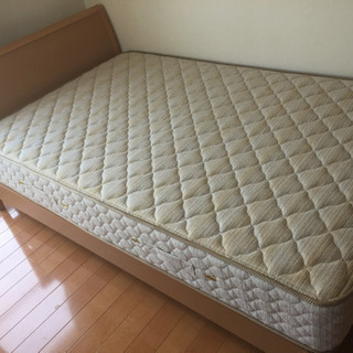 セミダブルベット