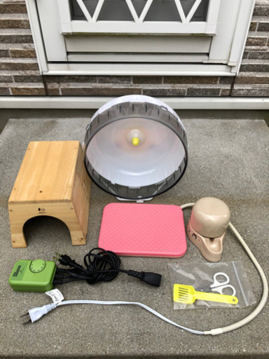 ハリネズミ　飼育セット