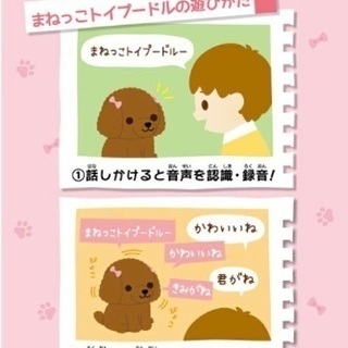 まねっこトイプードル🐶の画像