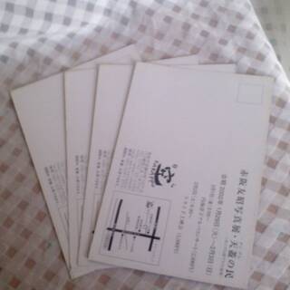 新品　赤阪友昭写真展・天蓋の民　ポストカード　4枚セットの画像