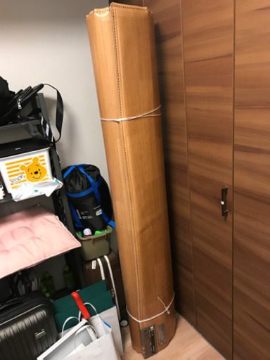 パナソニックほっとカーペット