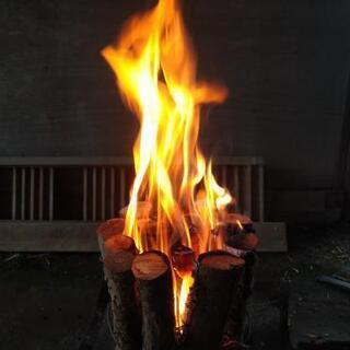 広葉樹のバンドル・スウェーデントーチ！茨城県潮来市。