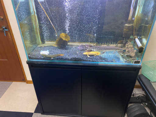 90cmガラス水槽セット