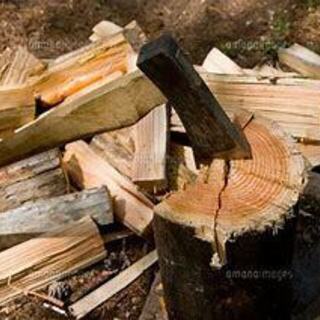 薪割体験 期間限定（1日1家族様限り+ペットもOKしかも