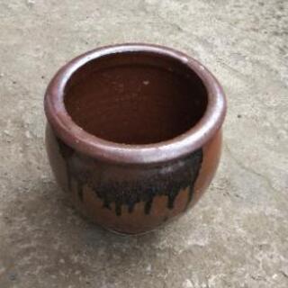 メダカ鉢、壺 