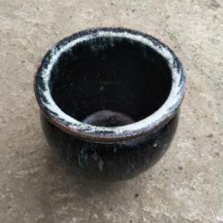 睡蓮鉢、メダカ鉢 