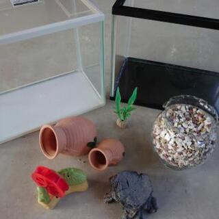 魚飼育グッズいろいろ！～受け渡し決定