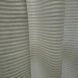 ニトリ  エコナチュレ  ボーダーの画像