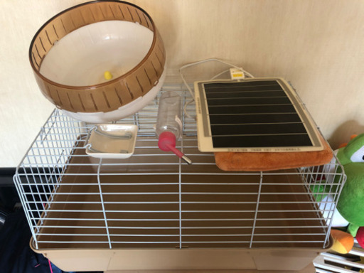 小動物　ゲージ　※受付終了しました。