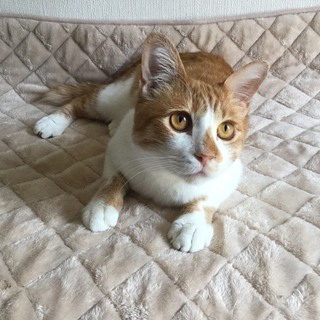 呼ぶと走ってくる犬系のハル君♪