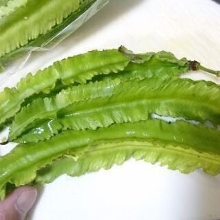石垣島の観光客さん情報交換しましょう − 沖縄県