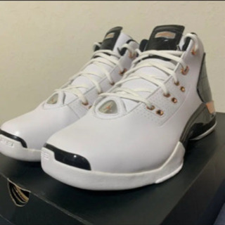 エアジョーダン17＋ カッパー クロコ 27センチ