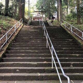 法律さえ破らなければ何でもしますよ。