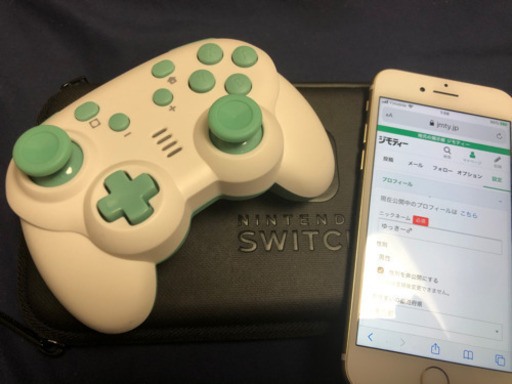 switchライト　どうぶつの森　4点セット値下げ交渉NG
