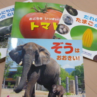 年長さん向けの配布本（１２冊）