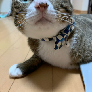 通話友達募集