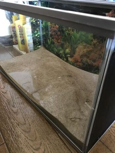 ４５cmテトラ水槽・テトラバリュEXパワーフィルターVX75・ゼンスイクーラーZC-100α