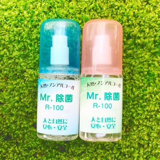除菌剤　Mr. 除菌　ミニスプレー　30ml 10本
