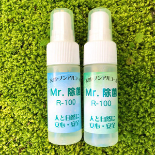 除菌液　Mr. 除菌　ミニスプレー　30ml 10本　細形