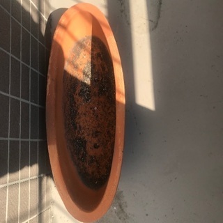 テラコッタ　舟形　園芸用の画像