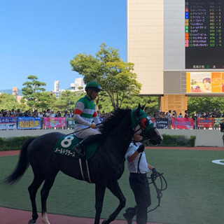 競馬仲間募集