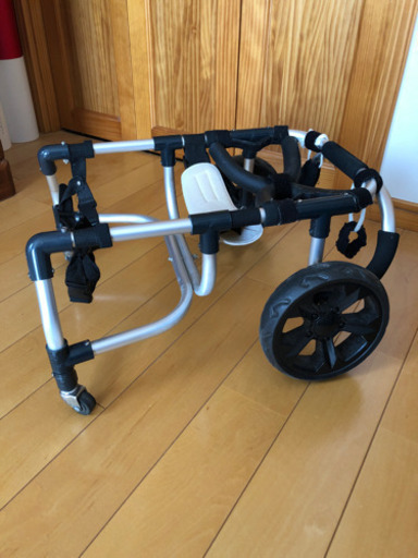 犬　車椅子
