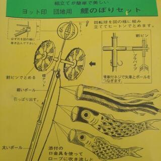 鯉のぼりの画像