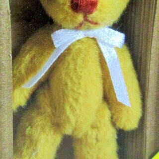 ☆ゲームボーイアドバンス GBA/大好きテディ 初回限定セット マスタード◆テディベア生誕100周年記念吉川照美の画像