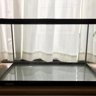 60センチ水槽