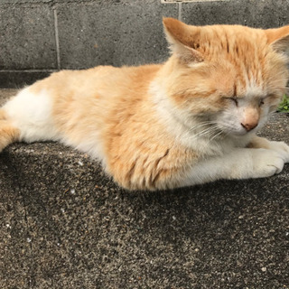 単純に男女問わずに友達欲しい