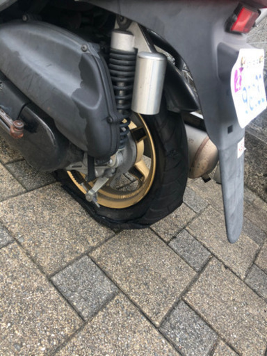 jog zr スペシャルエディション