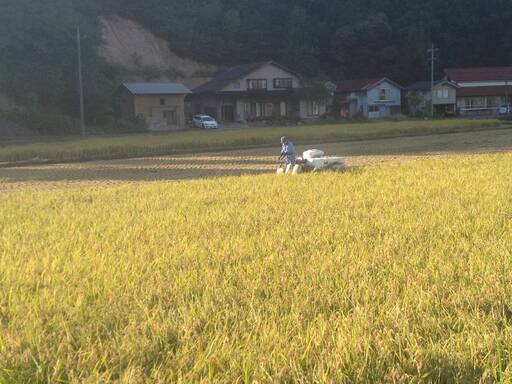 島根県奥出雲産　令和元年コシヒカリ100％　玄米30kg　農家直仕入れ