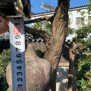 石灯籠あげますの画像