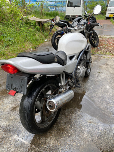 バリオス　1型　GW限定価格