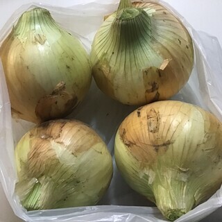 新玉ねぎ