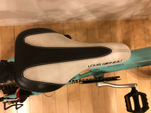 ルイガノ　j206  ジュニア　キッズ　自転車　バイク　20インチ　j20