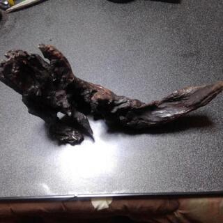 流木アートの画像