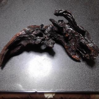 流木アートの画像