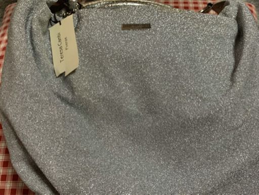 シルバーバック　Terepsa  Cambi