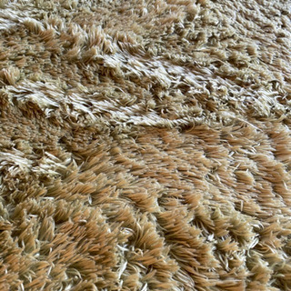 ホットカーペットとラグの画像