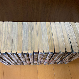 D.Gray-Man ディーグレイマン 1-19巻の画像