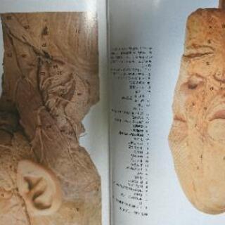 人体解剖カラーアトラスですの画像