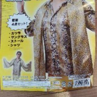 ピコ太郎　衣装