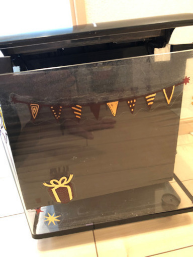 ‼️早い者勝ち GEX  自動循環 水槽 セット‼️