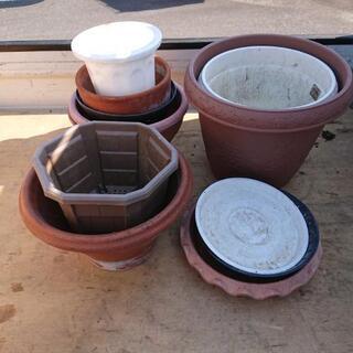 植木鉢、無料です。